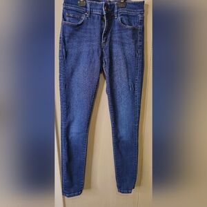 Ann Taylor Factory Deep Blue Skinny Jeans